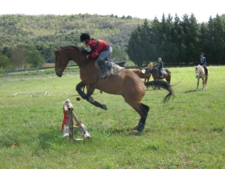  pbaños a caballo en la granja ecuestre Causse 